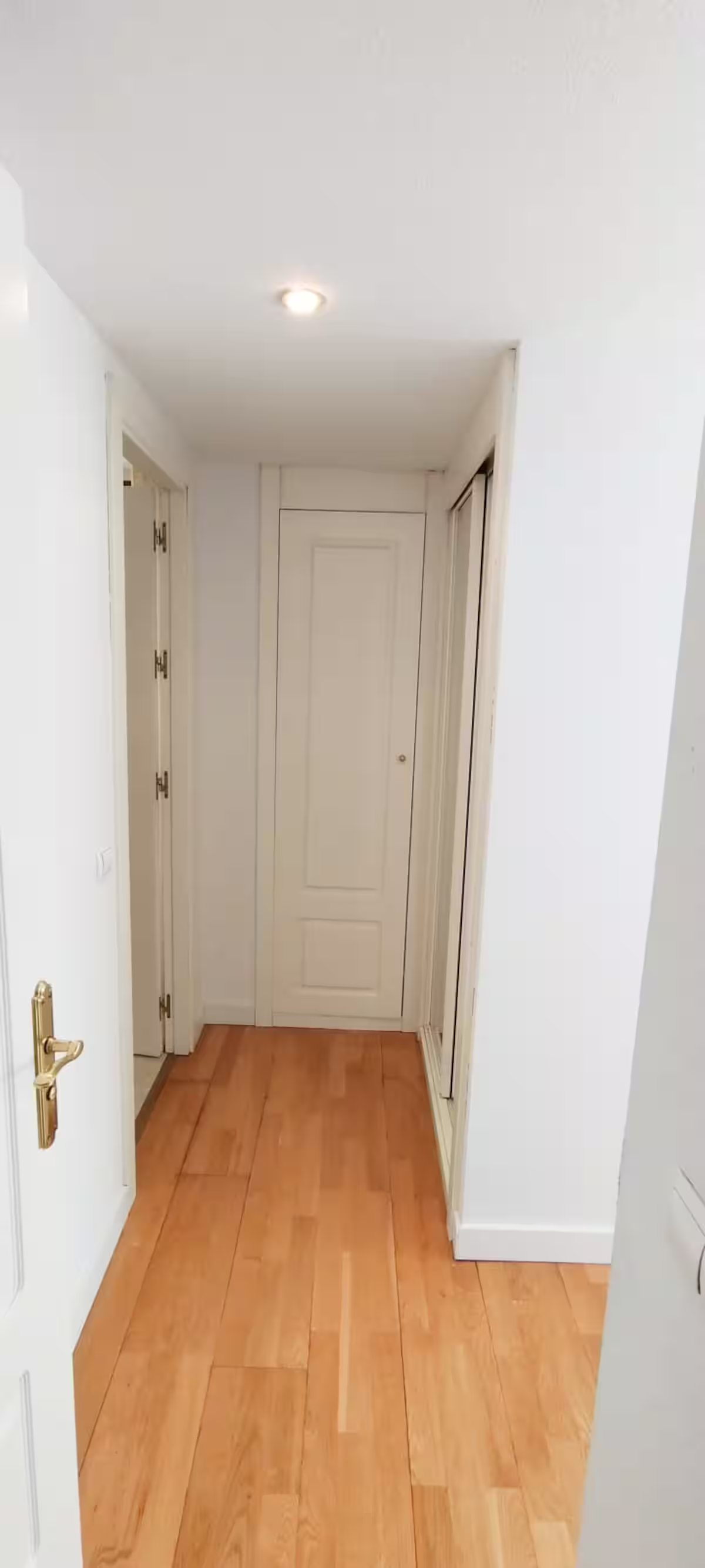 XPLORA SUITES CAMPEZO2118 24